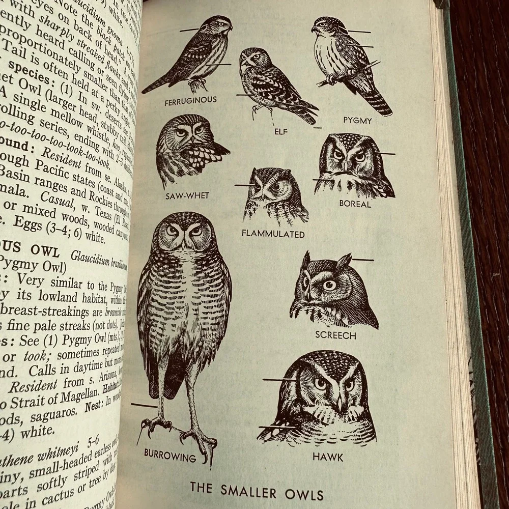 A Field Guide to the Birds by Roger Tory Peterson Teal Hardcover Vintage Book